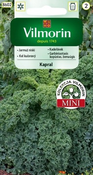 Jarmuż Kapral 2 g NISKI Vilmorin