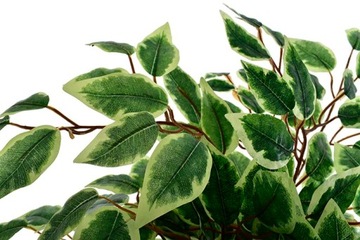 ДЕРЕВО ИСКУССТВЕННОЕ РАСТЕНИЕ КОМПОЗИЦИЯ УКРАШЕНИЕ ОФИС ДОМА ЛИСТЬЯ ЦВЕТОК