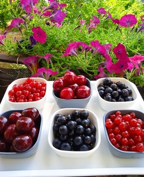 ЧАШКА ДЛЯ СОУСОВ ДИПЫ ДЛЯ СОУСОВ DIP BOWL 4 ШТ.