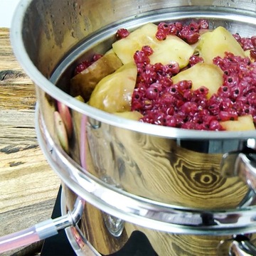 SOKOWNIK PAROWAR 2 w 1 NA INDUKCJĘ GAZ CERAMIKĘ 5L