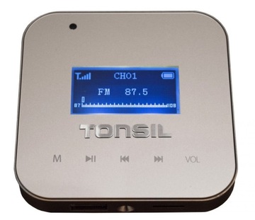 ПОТОЛОЧНАЯ АУДИОСИСТЕМА TONSI/VK с BLUETOOTH