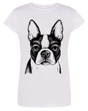 T-Shirt damski nadruk pies Boston Terrier r.L