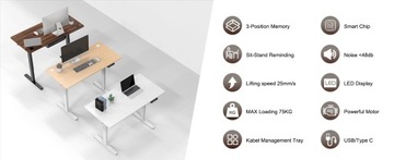 Электрический стол HOMAVO 120x60см, USB-A и тип C, регулируемый по высоте