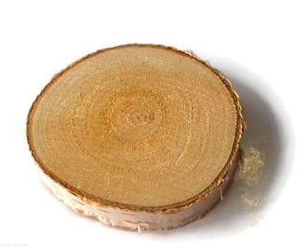 NAJTANIEJ plastry drewniane brzoza 6-10 cm gr.2cm