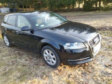 Audi A3 8P Hatchback 3d 1.6 TDI 105KM 2012 Audi A3 8P 1.6TDI 5 Drzwi,2012r., zdjęcie 1