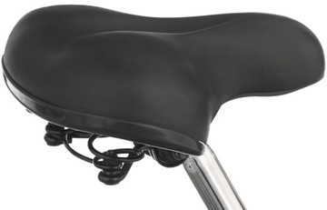 Женский трехколесный велосипед Seville 24 дюйма, черный