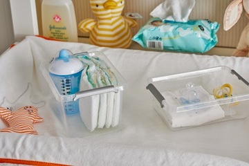 Контейнер-органайзер 4,5л.