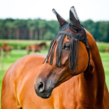 Frędzle z siatką na uszy przeciw owadom Horze PONY
