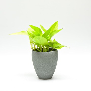 Osłonka Ceramiczna Lizard