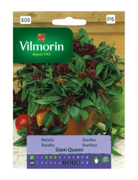BAZYLIA tajska SIAM QUEEN 0,5g VILMORIN