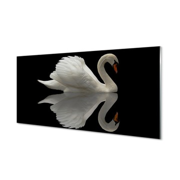 Foto obraz szkło hartowane Łabędź w nocy 100x50 cm