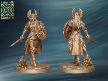 Valkyrie 1 - Валькирия - Модели лабиринтов