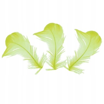 ХУДОЖЕСТВЕННЫЕ ИЗДЕЛИЯ ДЕКОРАТИВНЫЕ ПЕРЬЯ КАЛАДА