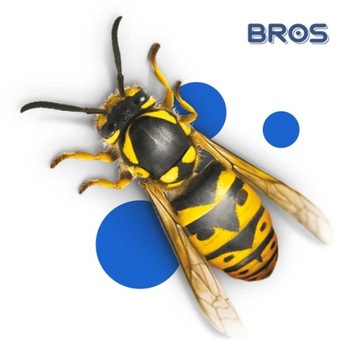 Bros AMARIS roll-on łagodzący ukąszenia owadów i poparzenia dla dzieci 15ml