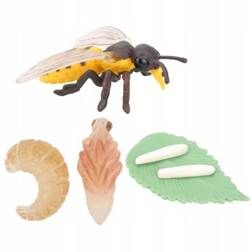 Игрушечная модель насекомого, цикл роста медоносной пчелы