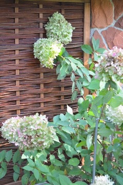 САЛЕРНО плетеная панель, ограждение, плетеный забор - размер 80 х 130 см