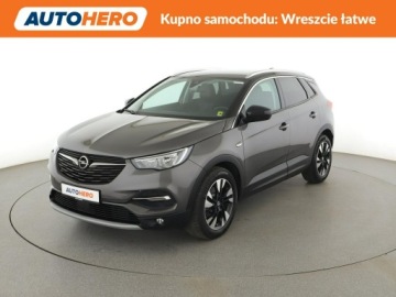 Opel 2019 Opel Grandland X Niski przebieg Navi Czujniki