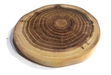 Akacja olejowana 7-10/ 1cm Plaster drewna bez kory