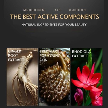 VENZEN Beauty Cream Clear Cover Натуральный макияж Питает Увлажняет