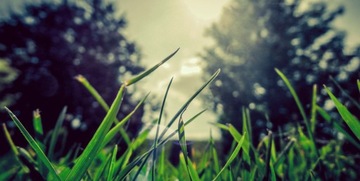 Fenzi Insanity Men EDP 100мл ДУХИ /вечность