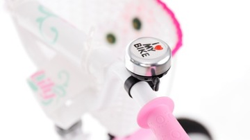 Детский велосипед Goetze/Dutch Goose 20