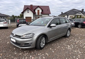 Volkswagen Golf VII Variant 1.6 TDI CR DPF BlueMotion Technology 105KM 2014 Volkswagen Golf 1.6D 105KM przeb.186tys ksiazka xenon zarejestrowany 1.6, zdjęcie 13