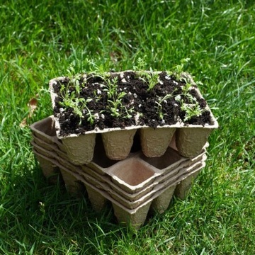 ТОРФЯНОЙ ГОРШОК ДЛЯ ПОСАДОВ ПОДДОН ДЛЯ ПОСАДОВ 12 ГОРШКОВ