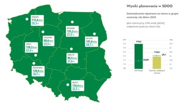 Семена кукурузы СМ Висла ФАО 210-220 50 000 зл.