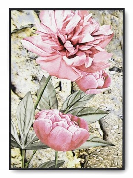 Plakat r B1 70x100 cm Kwiaty Róż Rośliny Natura
