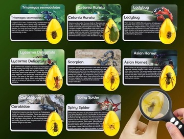 РАСкопки окаменелостей насекомых в янтаре НАБОР для маленького археолога ЯНТАРЬ