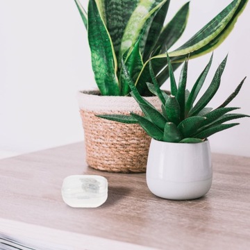 КОНТЕЙНЕР ДЛЯ БЕШЕЙ ЧЕХОЛ ПЛАСТИКОВЫЕ КОНТЕЙНЕРЫ