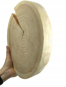 Okorowany Plaster drewna Krążek Modrzewia 25-30cm/gr.3cm/Szlif