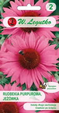 RUDBEKIA PURPUROWA JEŻÓWKA RÓŻOWA MIODODAJNA NASIONA 1g LEGUTKO