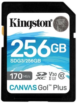 Karta pamięci KINGSTON Canvas Go! Plus SDXC 256GB