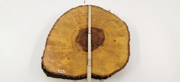 Столешница журнального столика Slice Ash 48x46 см