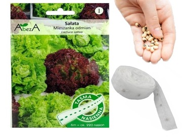 Sałata Mix Odmian nasiona na taśmie 6m.
