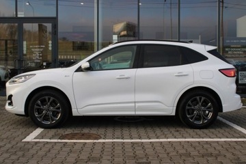 Ford Kuga III SUV 2.0 EcoBlue 190KM 2021 FORD Kuga ST-LINE, zdjęcie 7