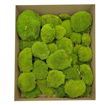 Подушкообразный мох - Светло-зеленый Натуральный ПРЕМИУМ - 100г ШВЕЦИЯ