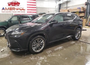 Lexus NX II 2022 Lexus NX 350H 2022 2.5l 2.5 Hybryda 240KM