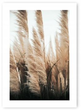 Boho SUCHA TRAWA plakat obraz A1 59,4x84,1 cm #20N