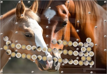 Красивая картинка, фотографии животных, подарочная копилка, 5 злотых, различные дизайны, автоматическое снятие средств