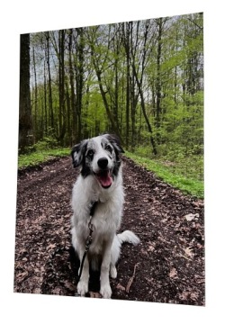 ФОТОЖИВОПИСЬ по фото фотокартина на ХОЛСТЕ 60х40 40х60