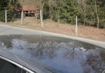 Ford S-Max II Van 2.0 TDCi 180KM 2017 Ford S-Max 2,0 TDCI Automat 2.0 Diesel 180KM, zdjęcie 8