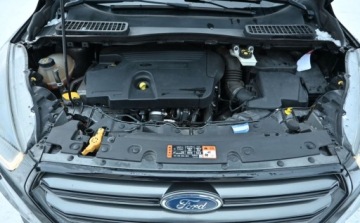 Ford Kuga II SUV Facelifting 2.0 TDCi 150KM 2017 Ford Kuga 2,0 TDCI 150 KM AWD ST-LINE BI-Xenon Nawigacja 2.0 Diesel 150KM, zdjęcie 31