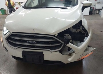 Ford Ecosport II 2020 Ford EcoSport SE, 4x4, od ubezpieczalni 2.0 Benzyna 166KM, zdjęcie 3