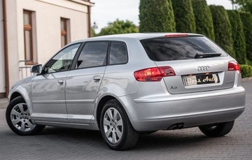 Audi A3 8P Hatchback 3d 1.9 TDI 105KM 2005 Audi A3 Sportback 1.9TDI 105KM Climatron Alu Full Serwis Aso NOWY ROZRZAD, zdjęcie 8