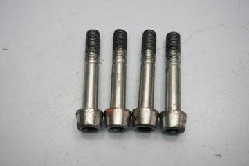 APRILIA TUONO V4 1100 FACTORY 19- ŚRUBY ŚRUBKI ZACISKU HAMULCOWEGO PRZÓD