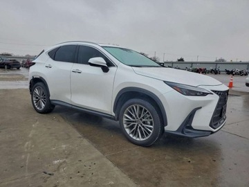 Lexus NX II 2025 Lexus NX 350 Premium 2025 2.4 Benzyna 275KM, zdjęcie 4