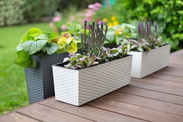 Подставка для цветов Begonia Rattan Lamel 5 цветов + вставка