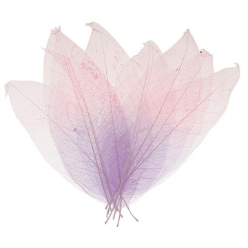 3x50 кусочков натуральных скелетированных листьев магнолии